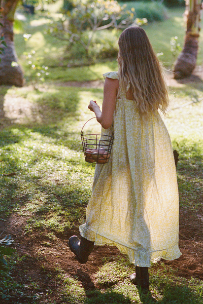 ISLA DRESS - Oiseau Pear / XS
