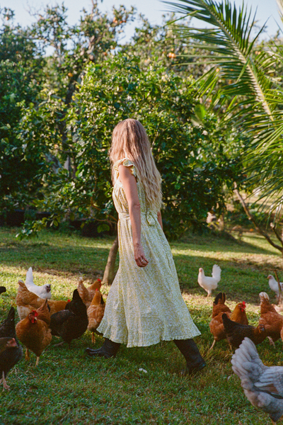 ISLA DRESS - Oiseau Pear / XS