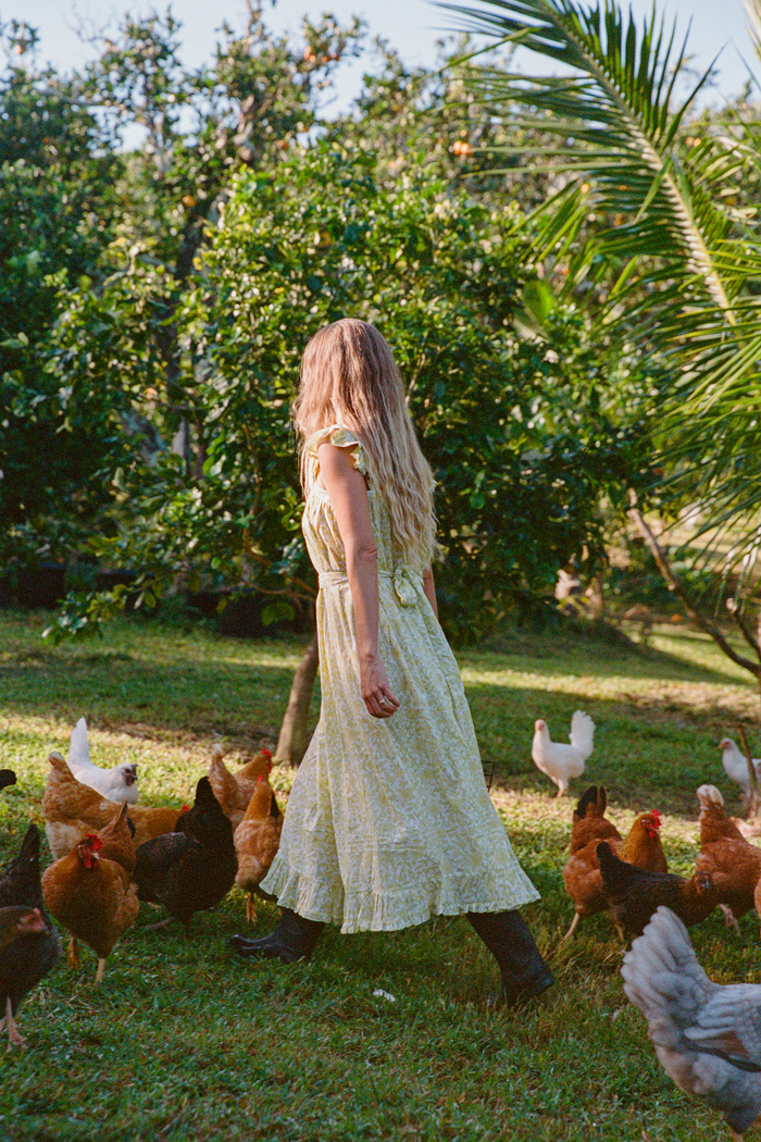ISLA DRESS - Oiseau Pear / XS